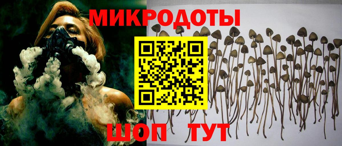 Ишимбай  Псилоцибиновые грибы Psilocybine cubensis  Вход с VPN  Галлюциногенные грибы Psilocybine cubensis 